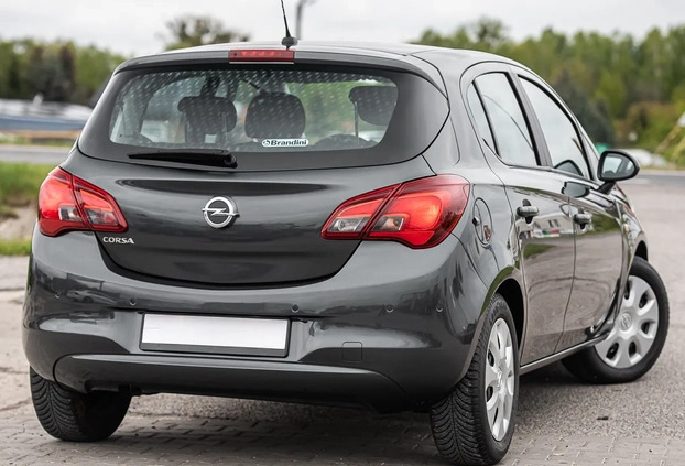 Opel Corsa cena 44900 przebieg: 22000, rok produkcji 2017 z Radom małe 436